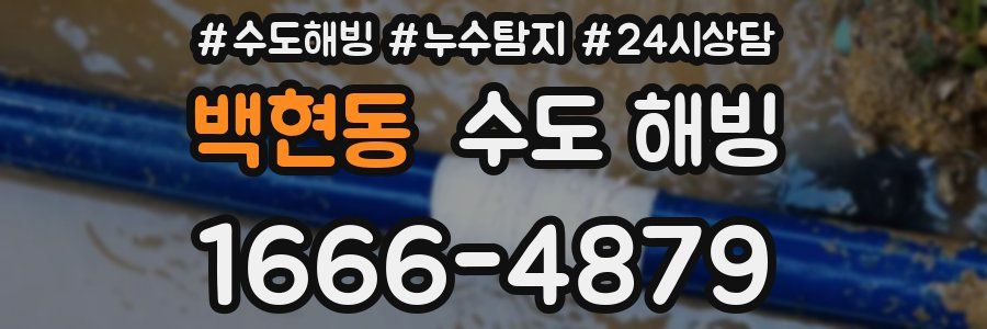 백현동 수도 해빙