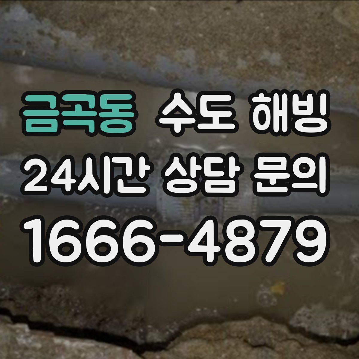 금곡동 수도 해빙