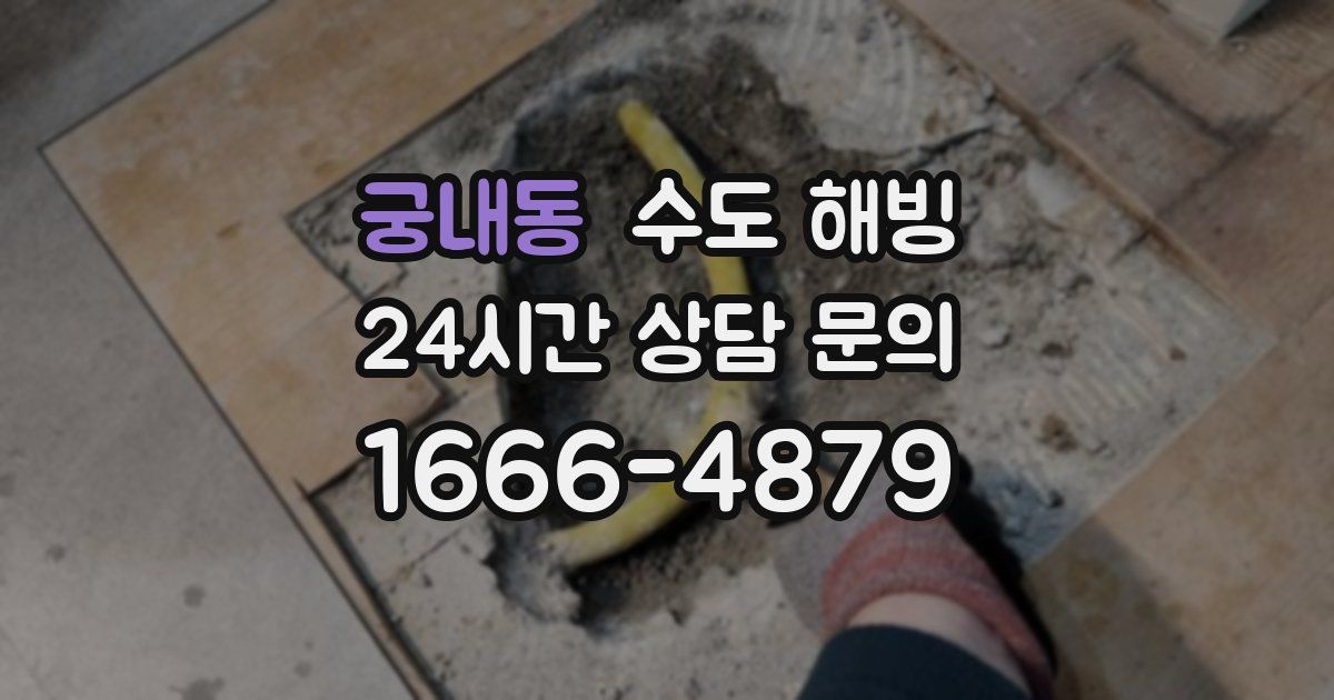 궁내동 수도 해빙