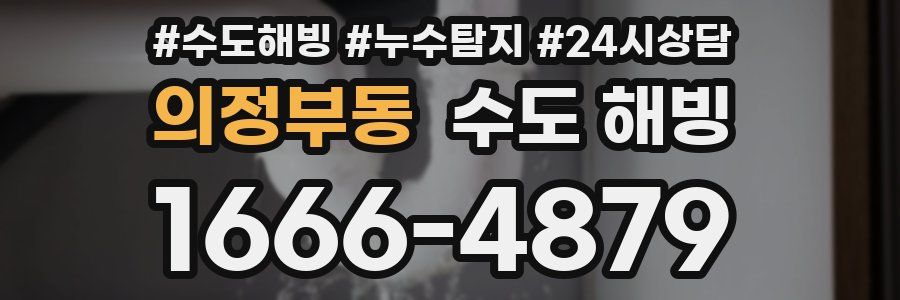 의정부동 수도 해빙