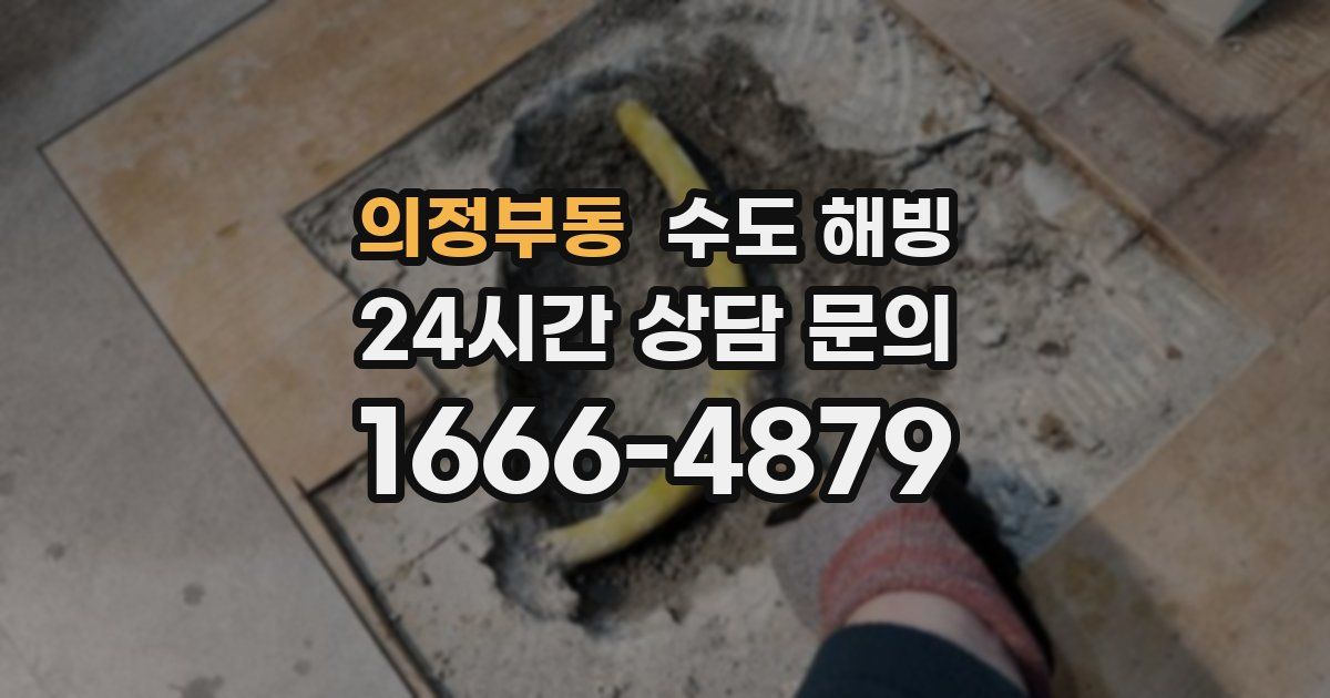 의정부동 수도 해빙