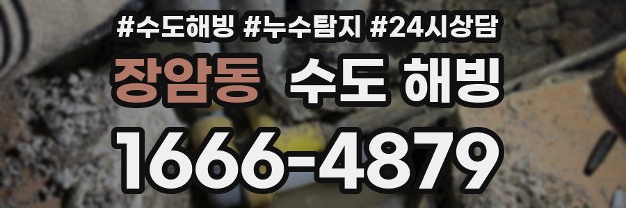 장암동 수도 해빙