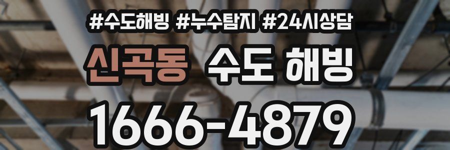 신곡동 수도 해빙