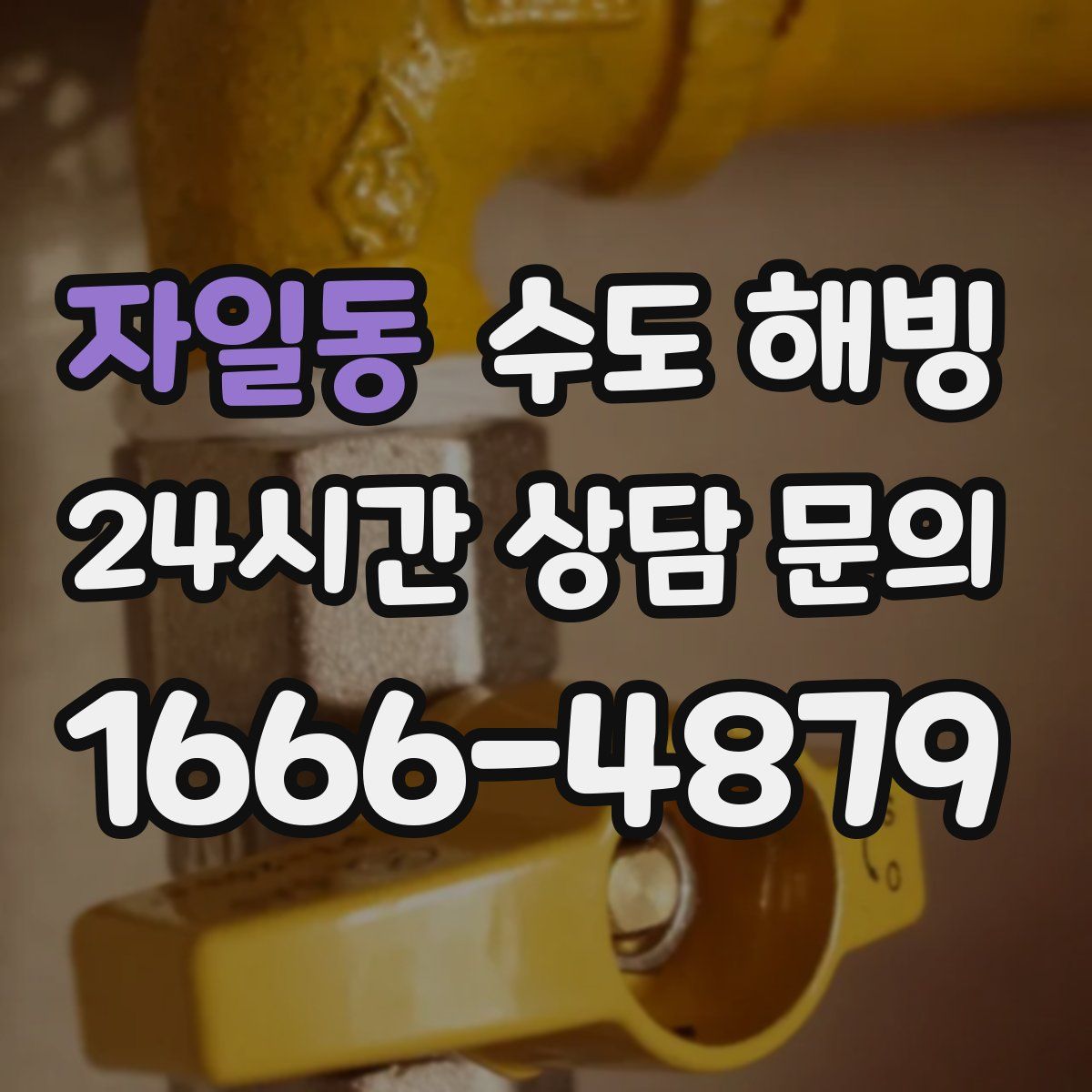 자일동 수도 해빙