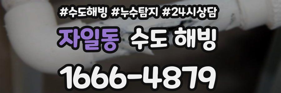 자일동 수도 해빙