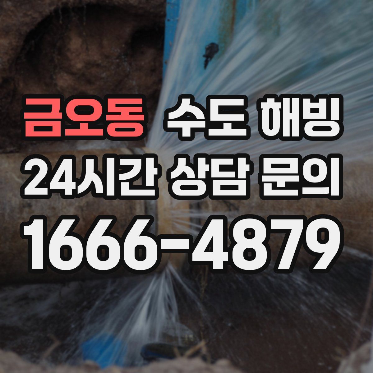 금오동 수도 해빙