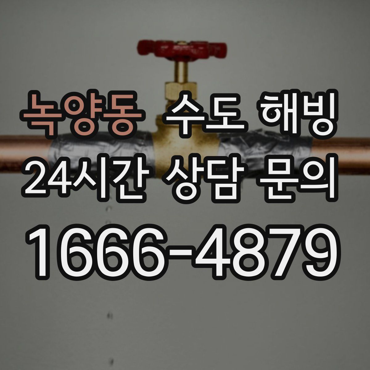 녹양동 수도 해빙