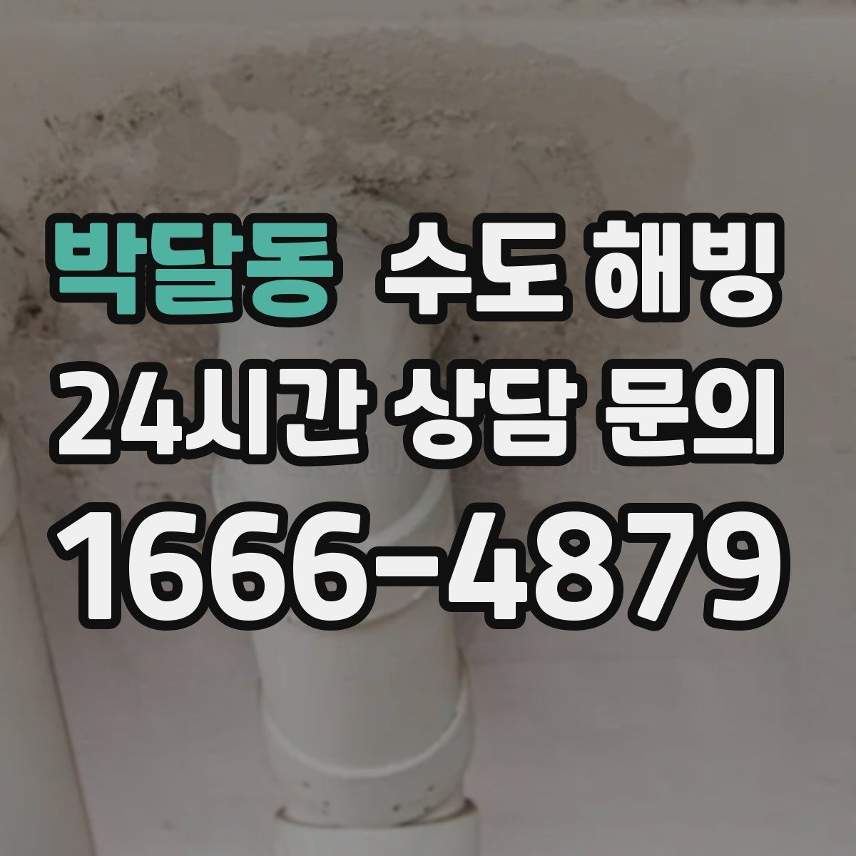 박달동 수도 해빙