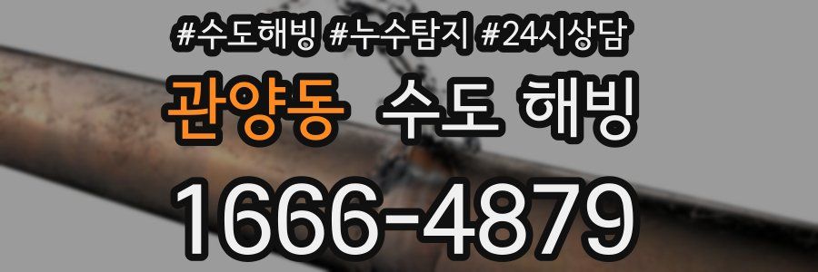 관양동 수도 해빙