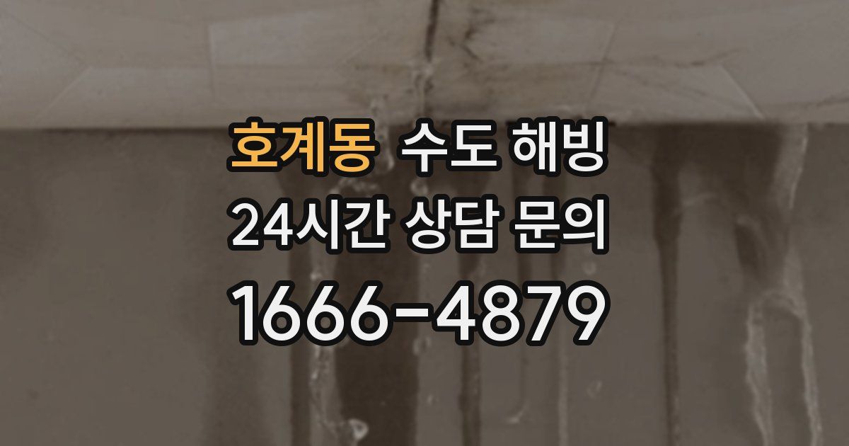 호계동 수도 해빙