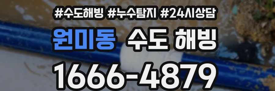 원미동 수도 해빙