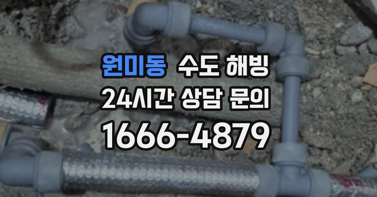 원미동 수도 해빙
