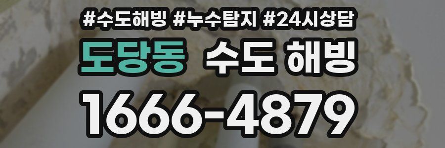 도당동 수도 해빙