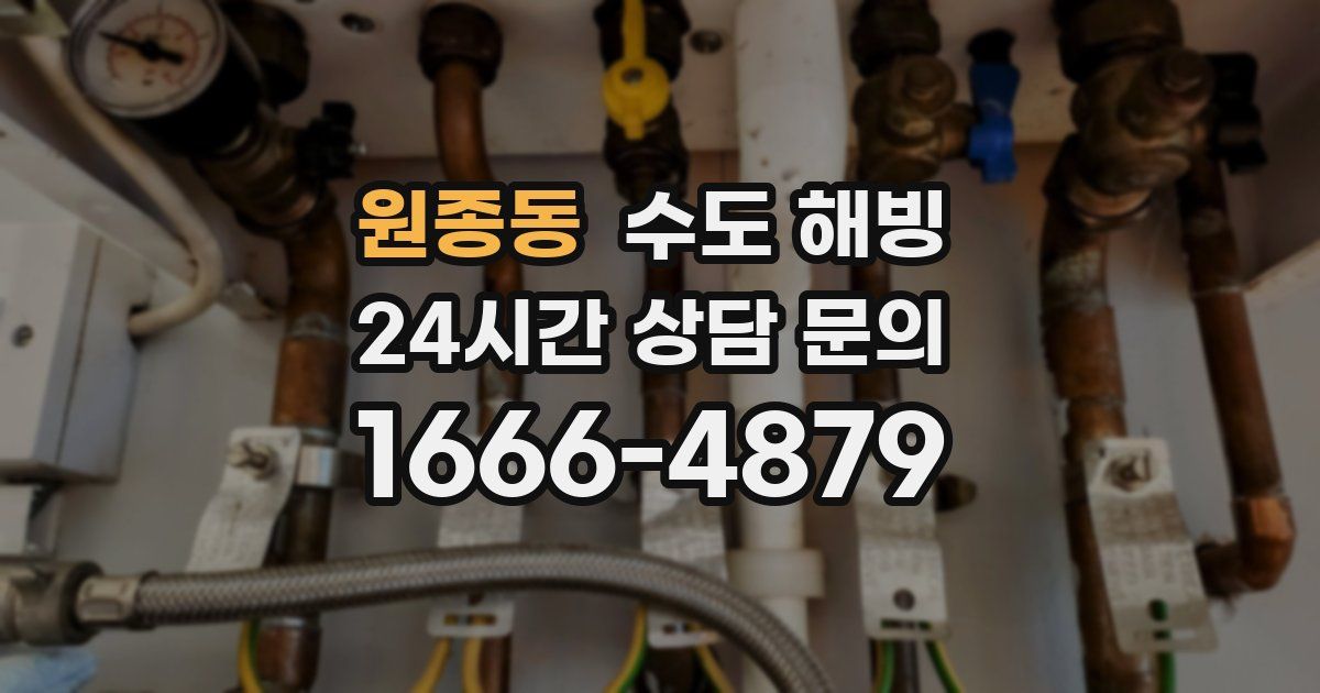 원종동 수도 해빙