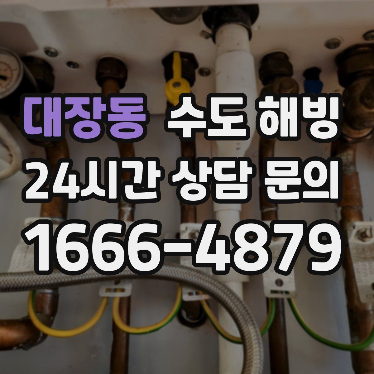 대장동 수도 해빙