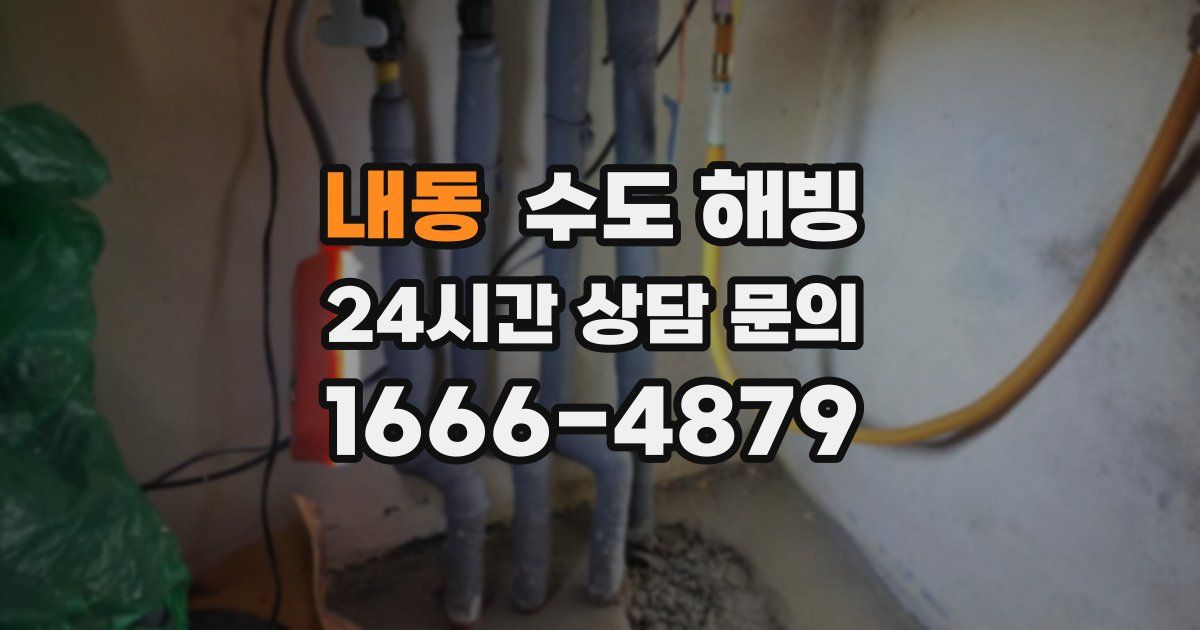 내동 수도 해빙