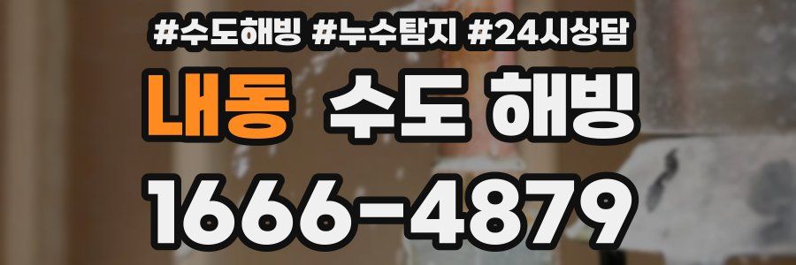 내동 수도 해빙