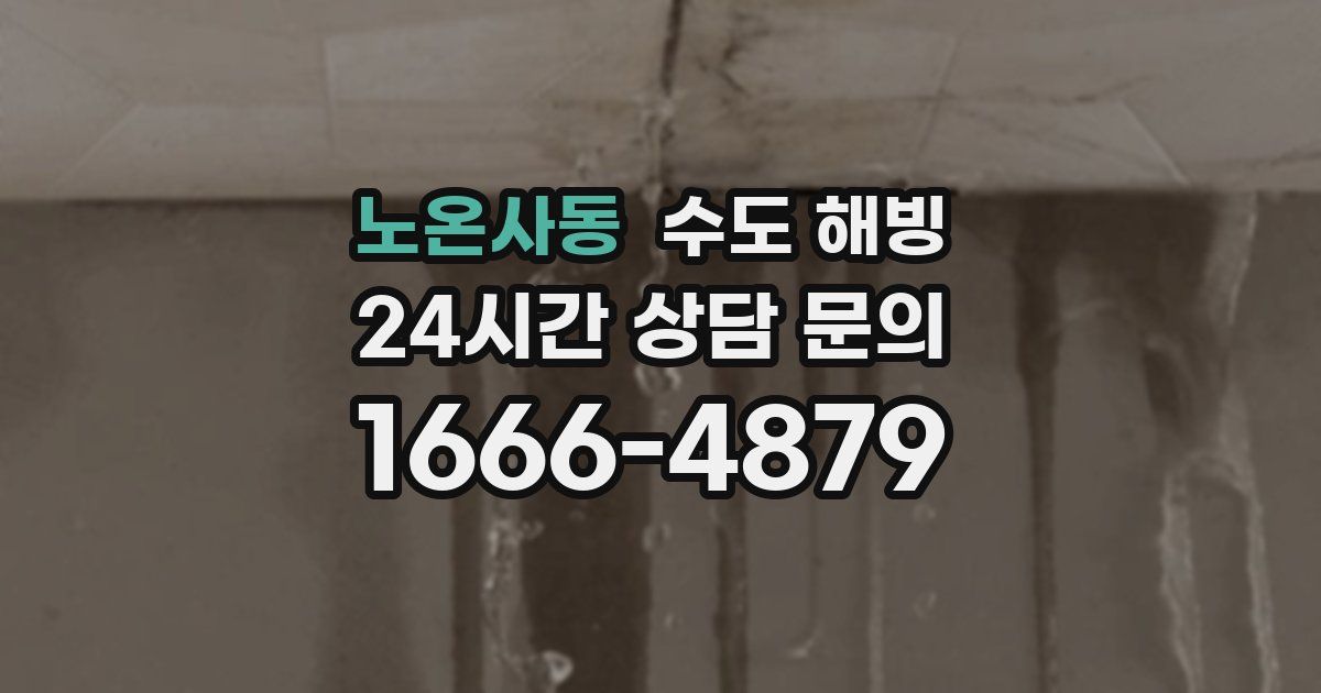 노온사동 수도 해빙