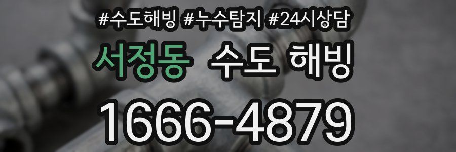 서정동 수도 해빙