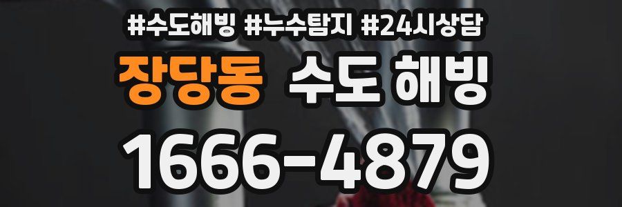 장당동 수도 해빙