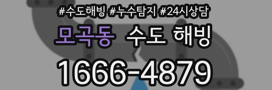모곡동 수도 해빙