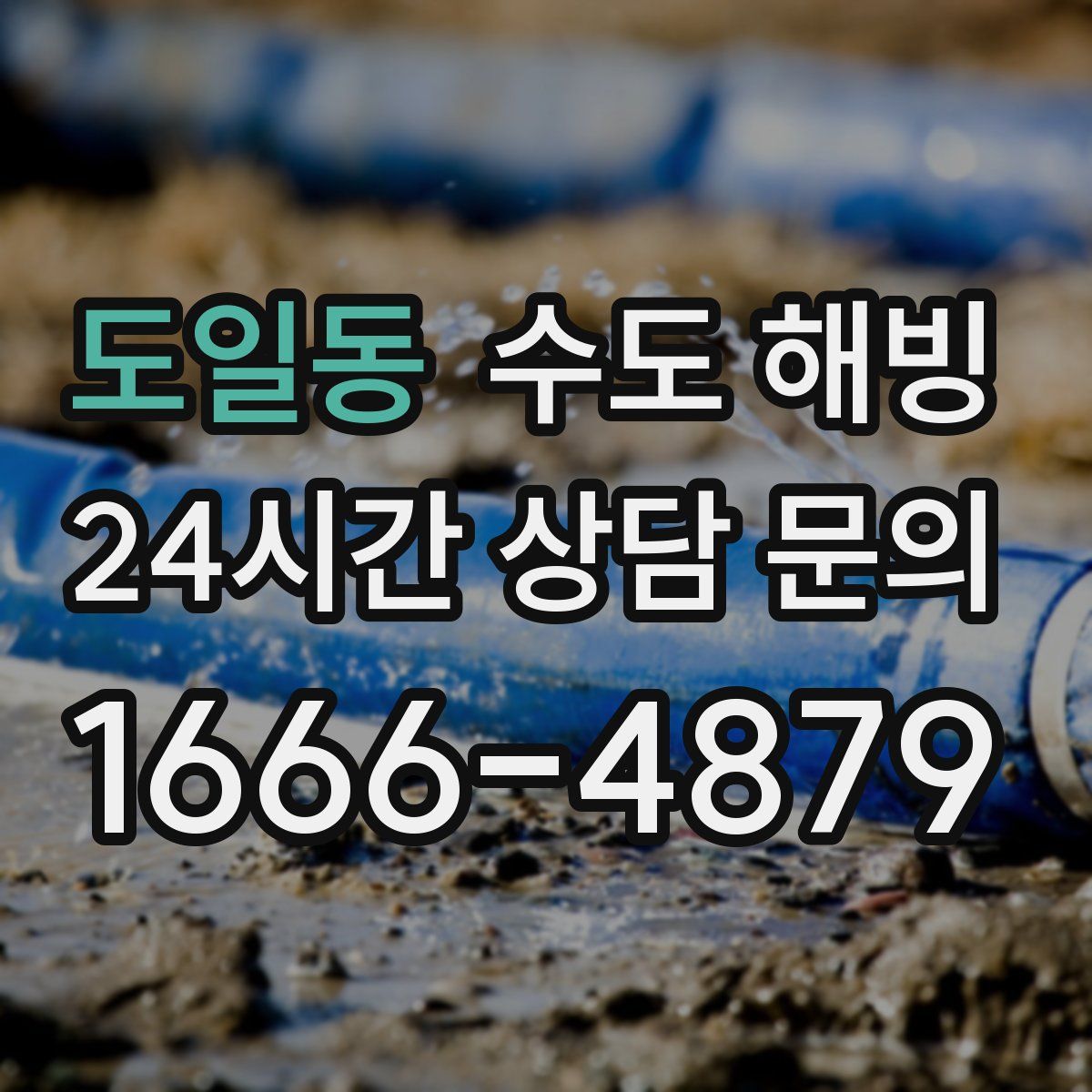 도일동 수도 해빙