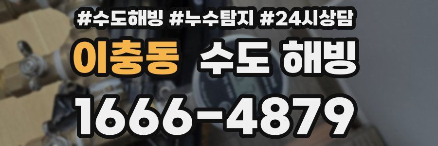 이충동 수도 해빙