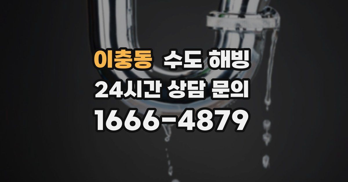 이충동 수도 해빙