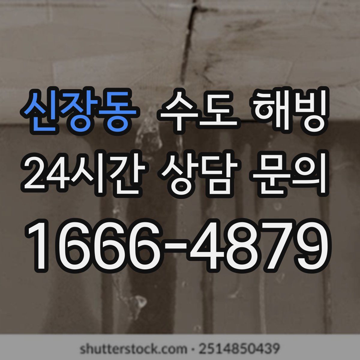 신장동 수도 해빙