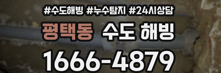 평택동 수도 해빙