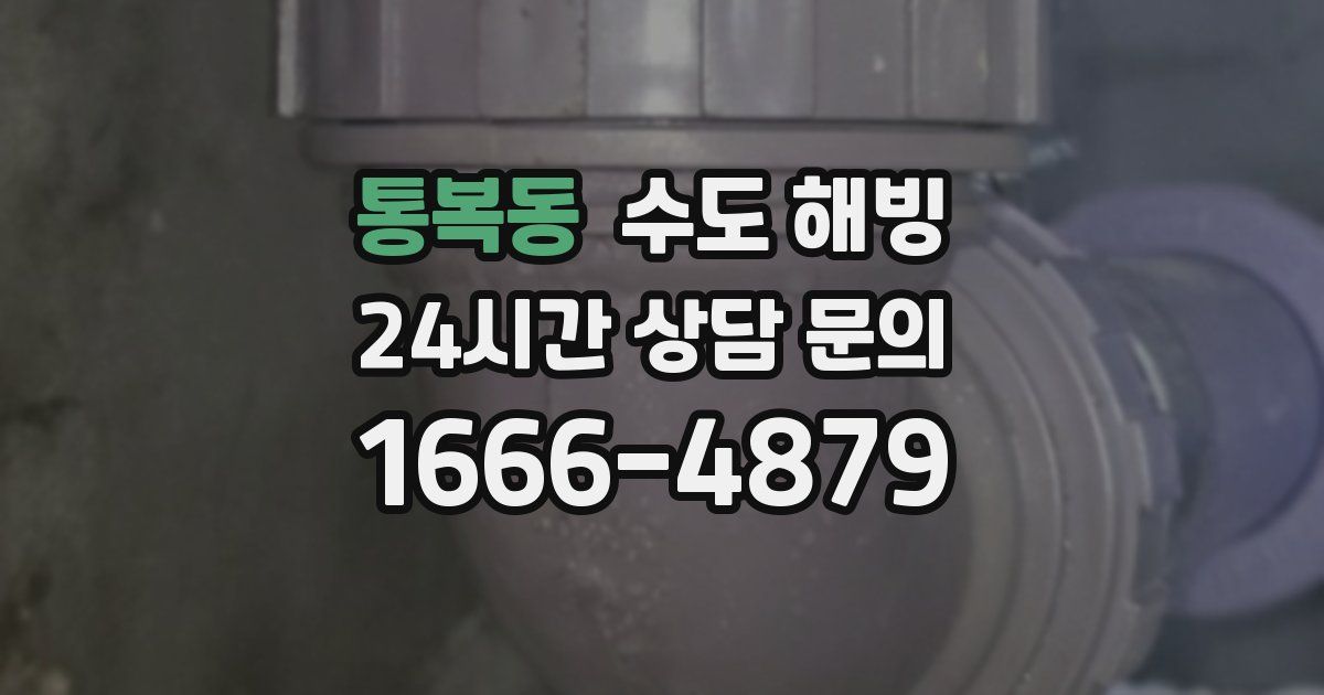 통복동 수도 해빙