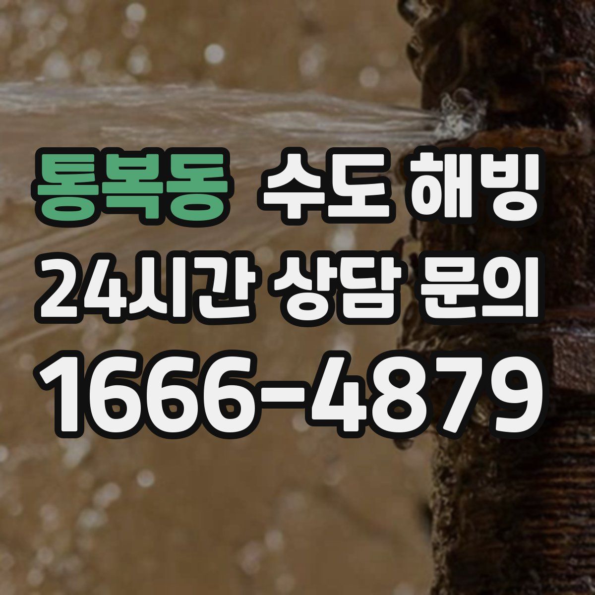 통복동 수도 해빙