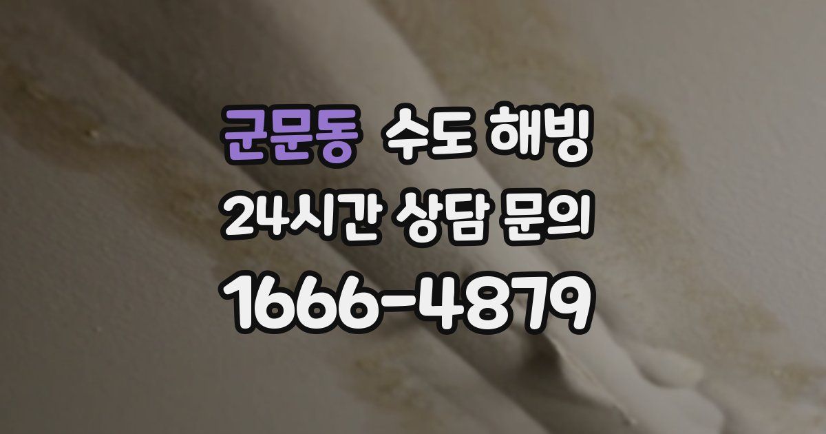 군문동 수도 해빙