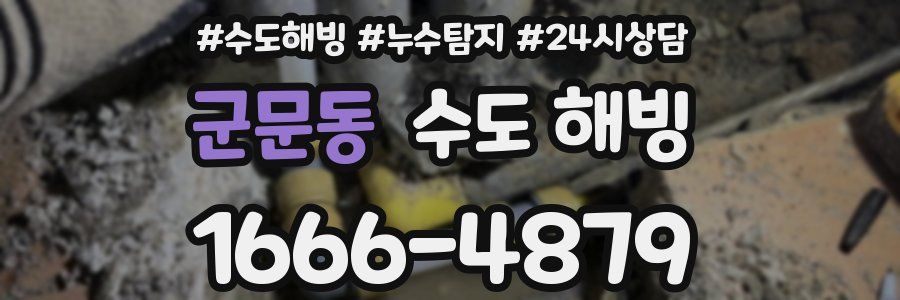 군문동 수도 해빙