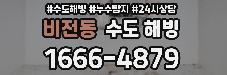 비전동 수도 해빙