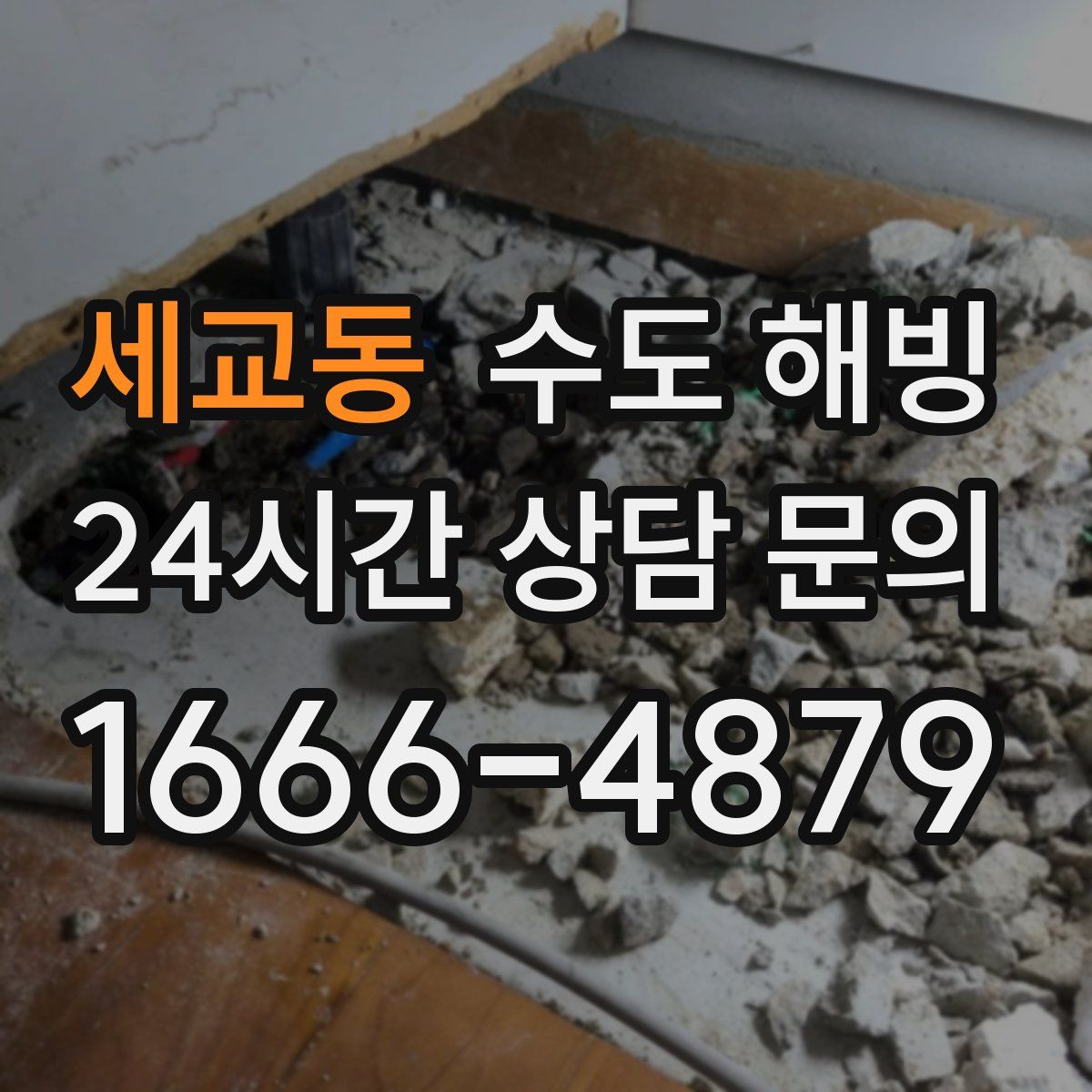 세교동 수도 해빙