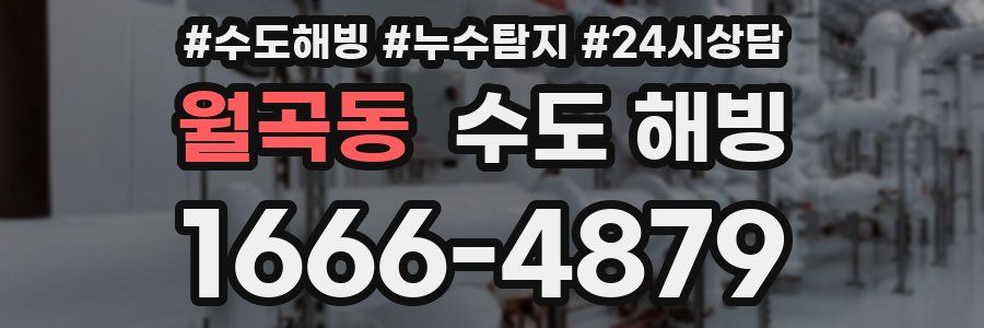 월곡동 수도 해빙