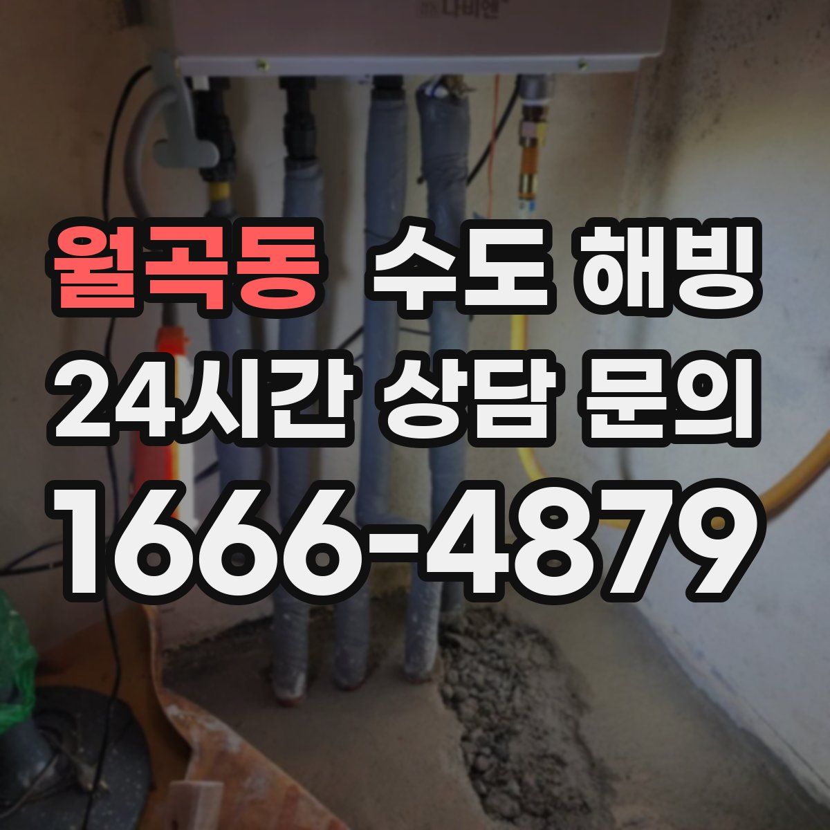 월곡동 수도 해빙