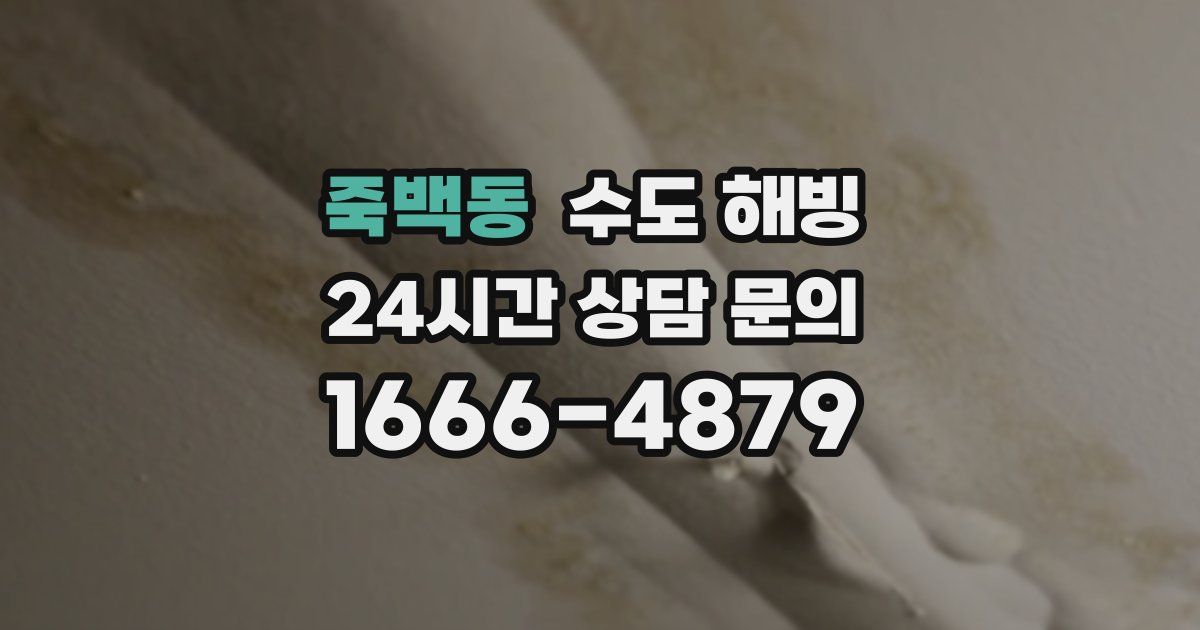 죽백동 수도 해빙