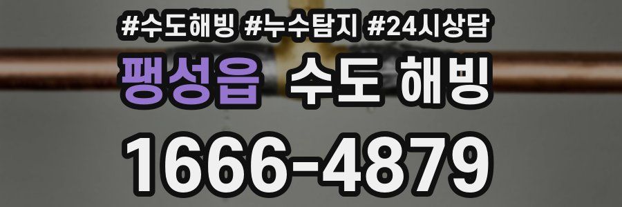 팽성읍 수도 해빙