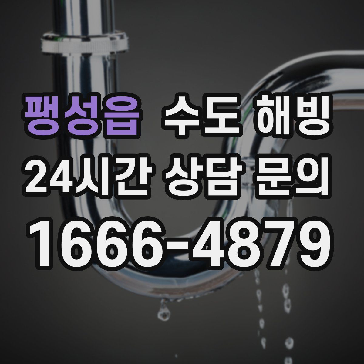 팽성읍 수도 해빙