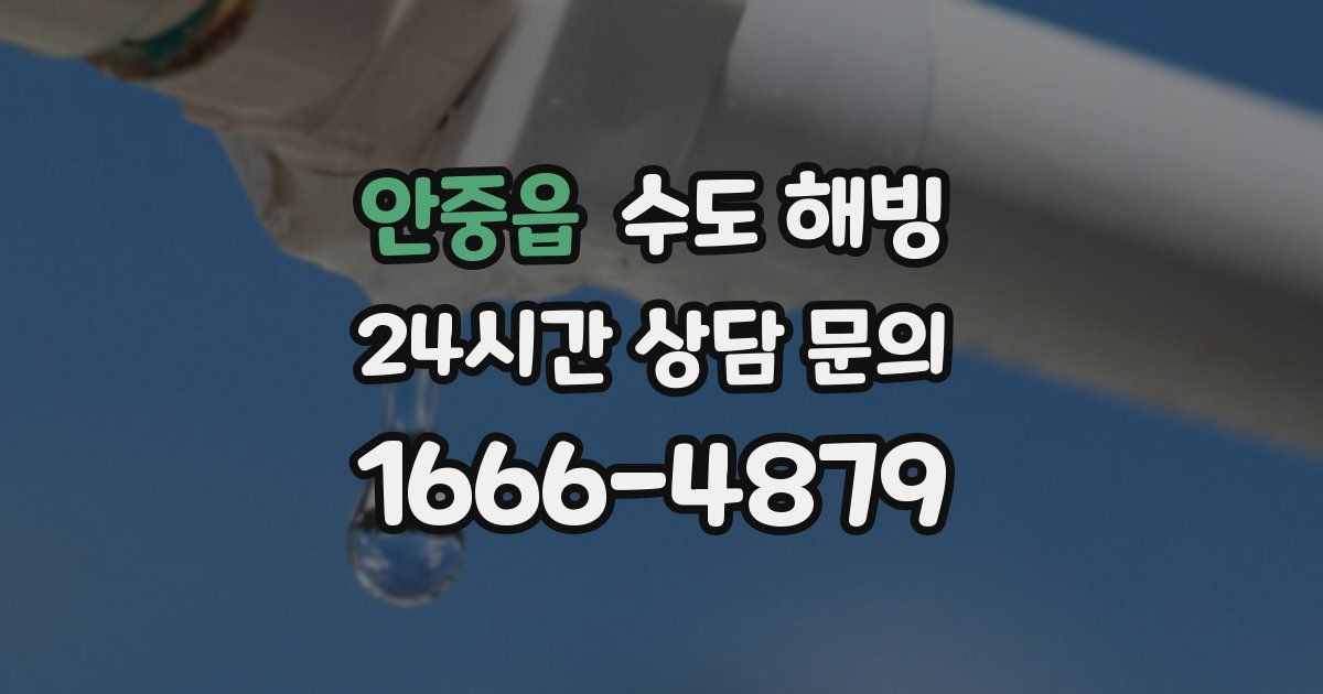 안중읍 수도 해빙