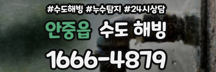 안중읍 수도 해빙