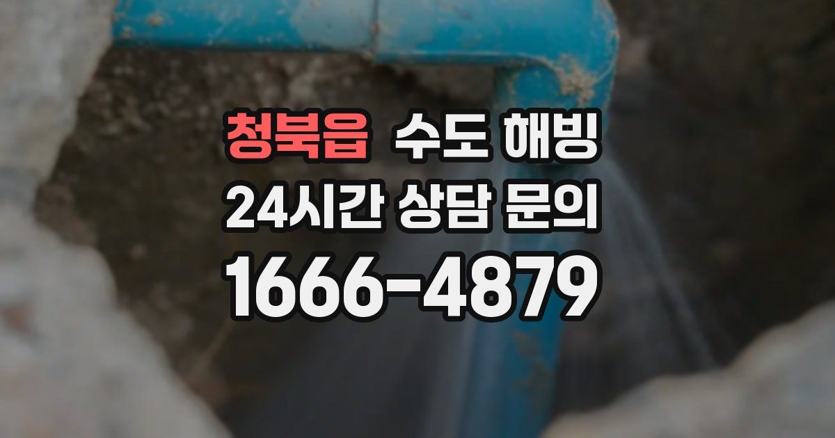 청북읍 수도 해빙