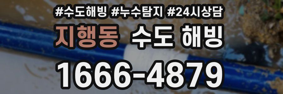 지행동 수도 해빙