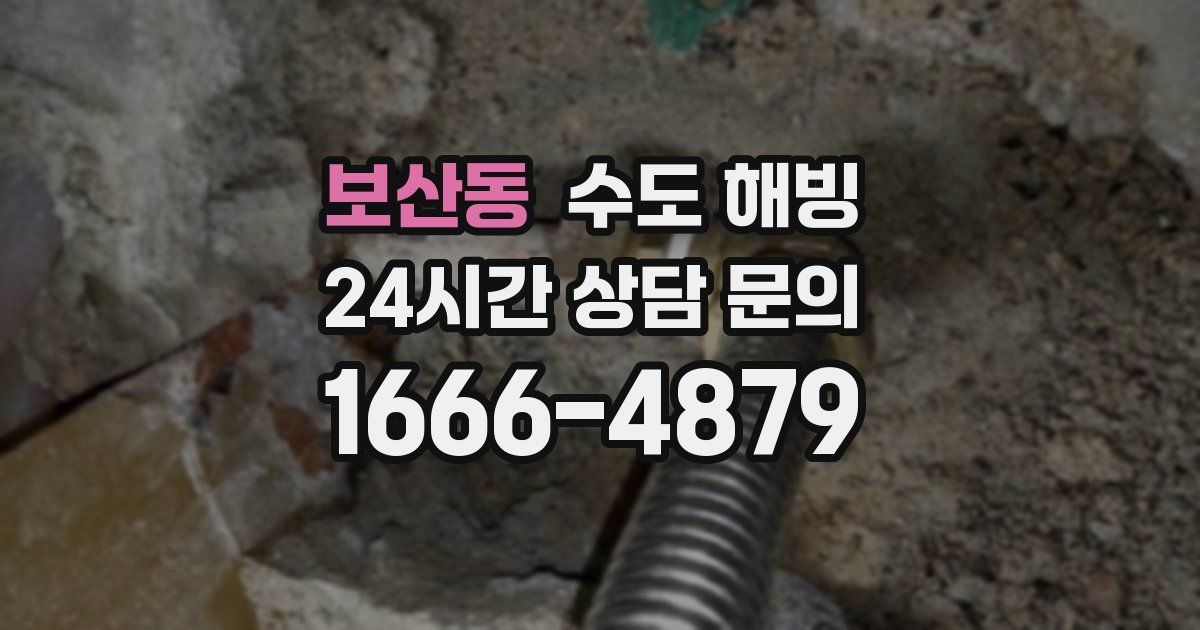 보산동 수도 해빙