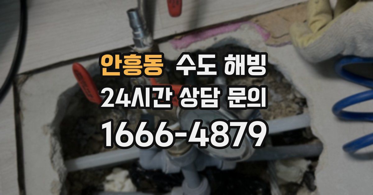 안흥동 수도 해빙