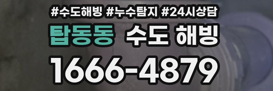 탑동동 수도 해빙