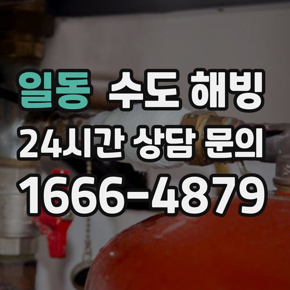 일동 수도 해빙