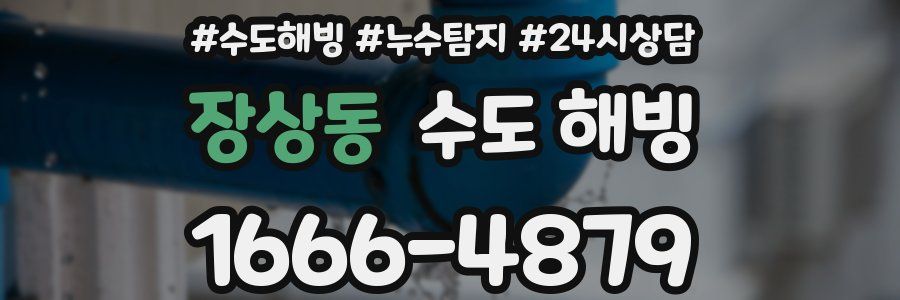 장상동 수도 해빙